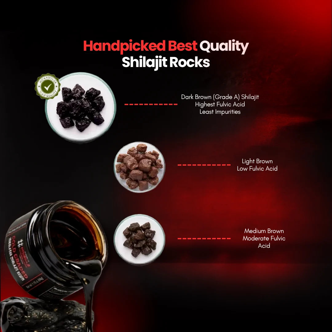 Alpha Grade Shilajit Resin Jar 50g – Muscle Warehouse
