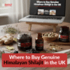 Himalayan Shilajit