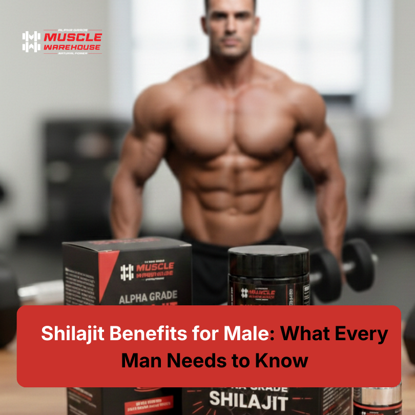Shilajit Benefits for Male