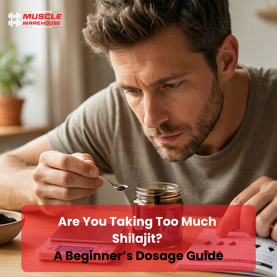 Shilajit Dosage Guide for Beginners