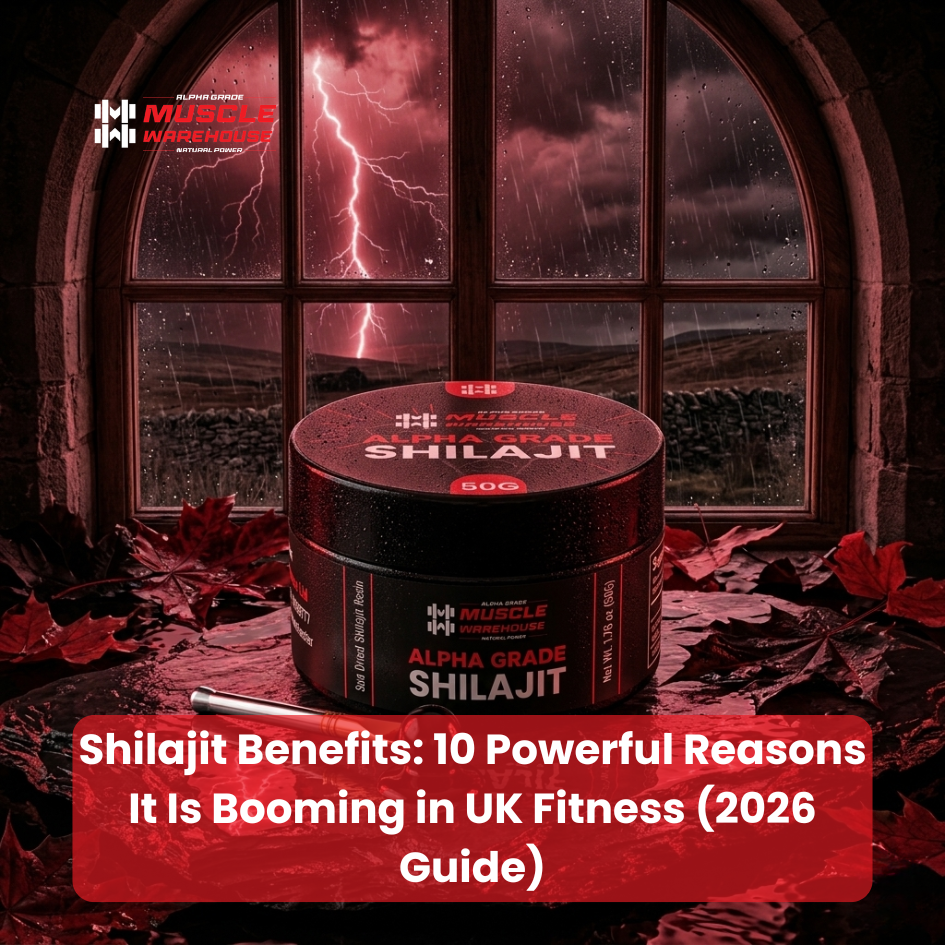 shilajit benefits